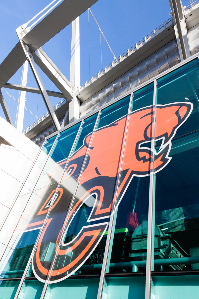 Illustration for article titled Pics from the (Concourse): 2016-09-25 at BC Place